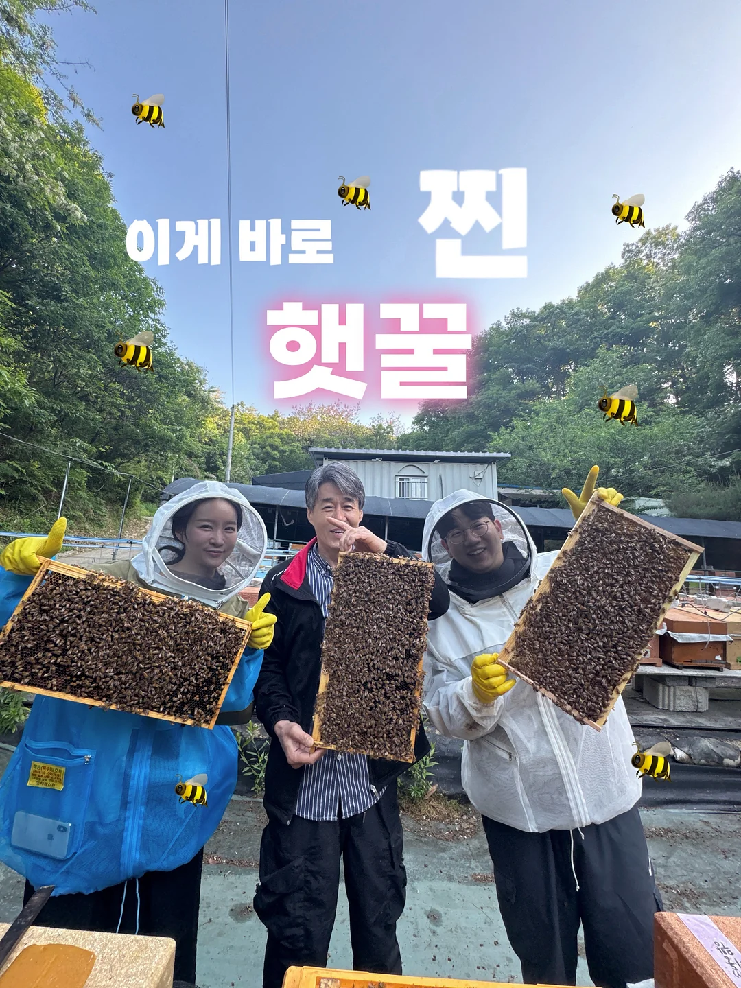 베베추피 전집 1