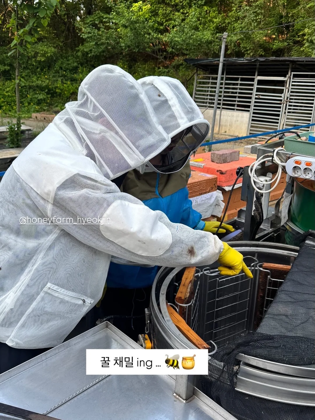 베베추피 전집 12