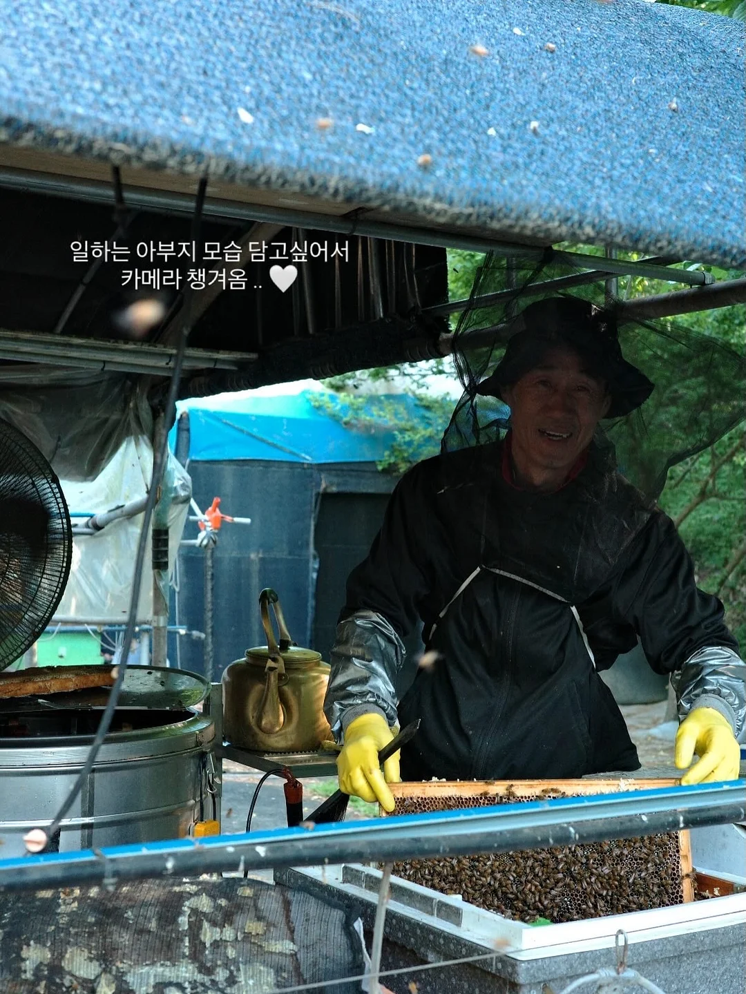 베베추피 전집 15