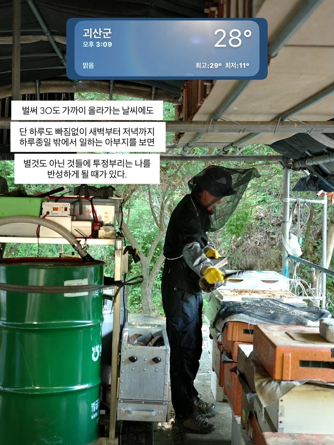 베베추피 전집 16