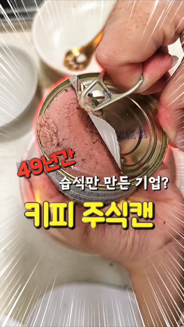레이스 카라 반팔 니트 블라우스
