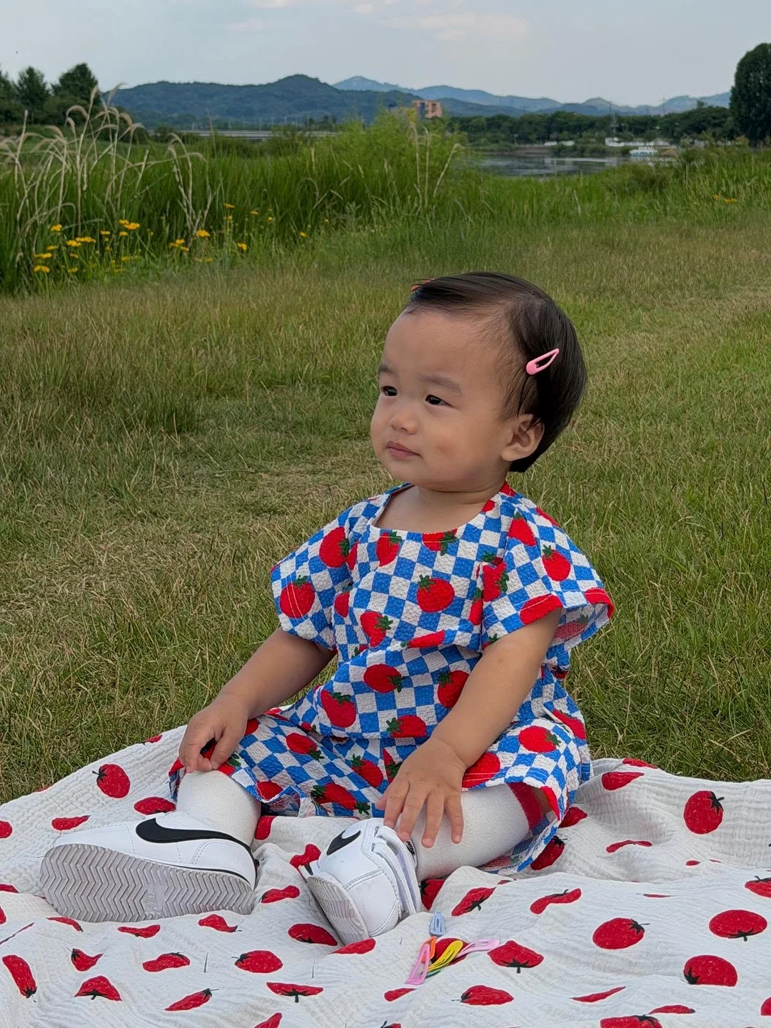 소전천권 11