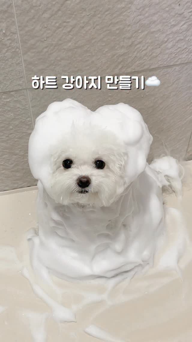 몬테소리북