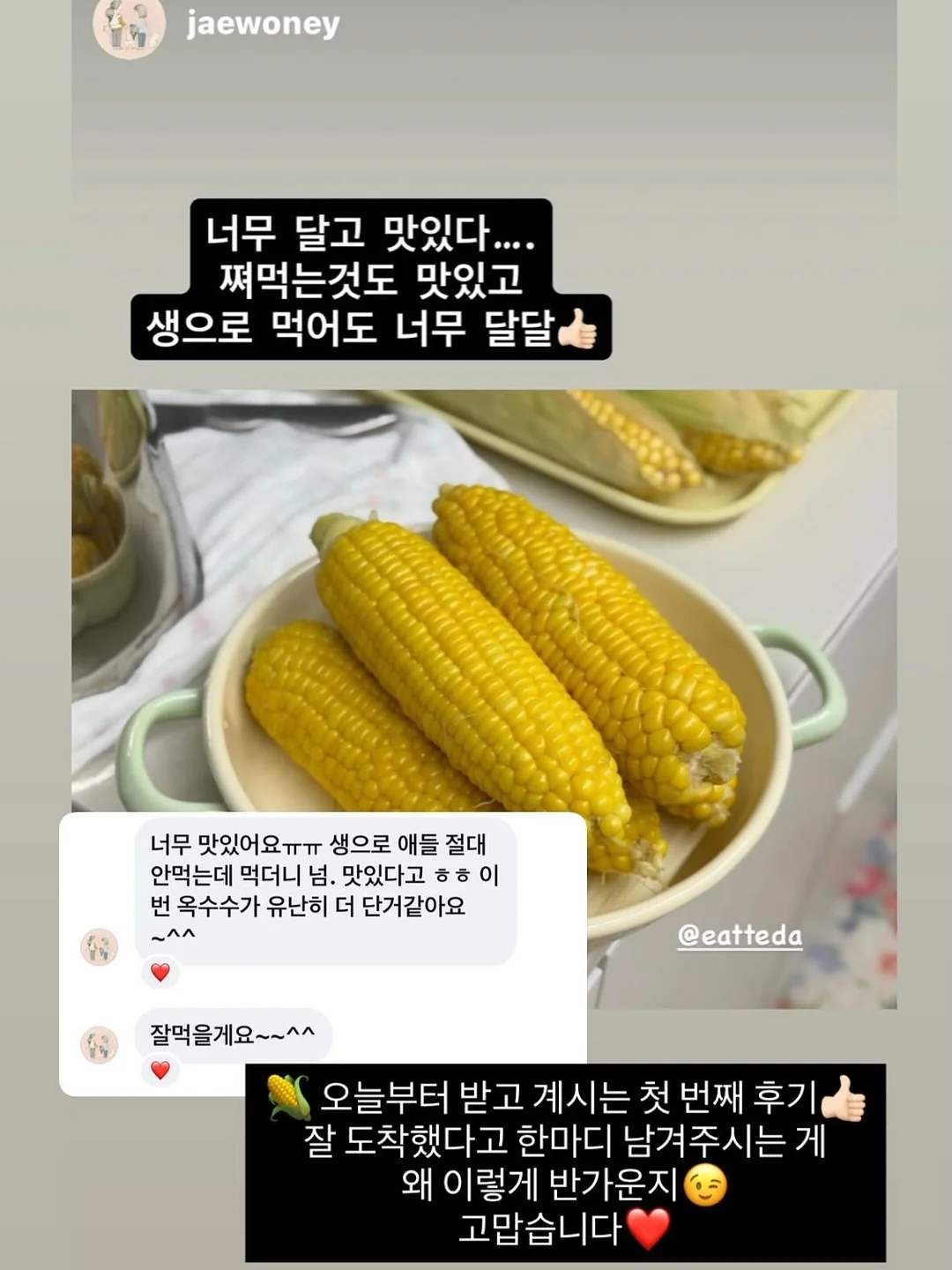 프랑스 쉐브르 티 풀세트 11