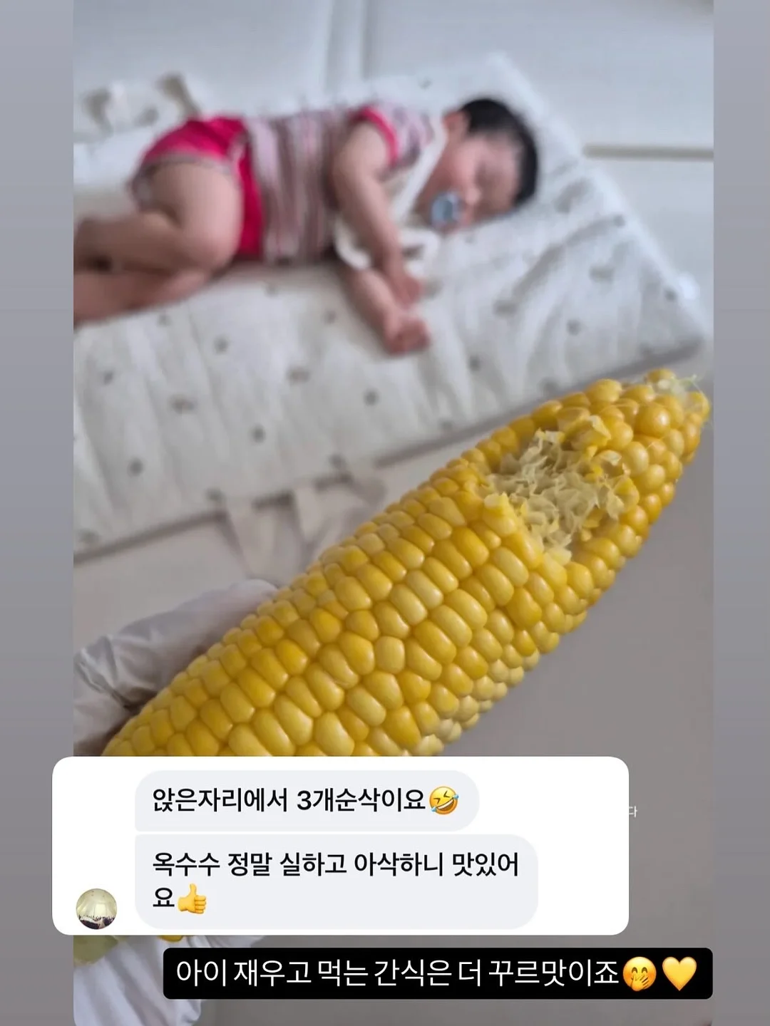 프랑스 쉐브르 티 풀세트 12