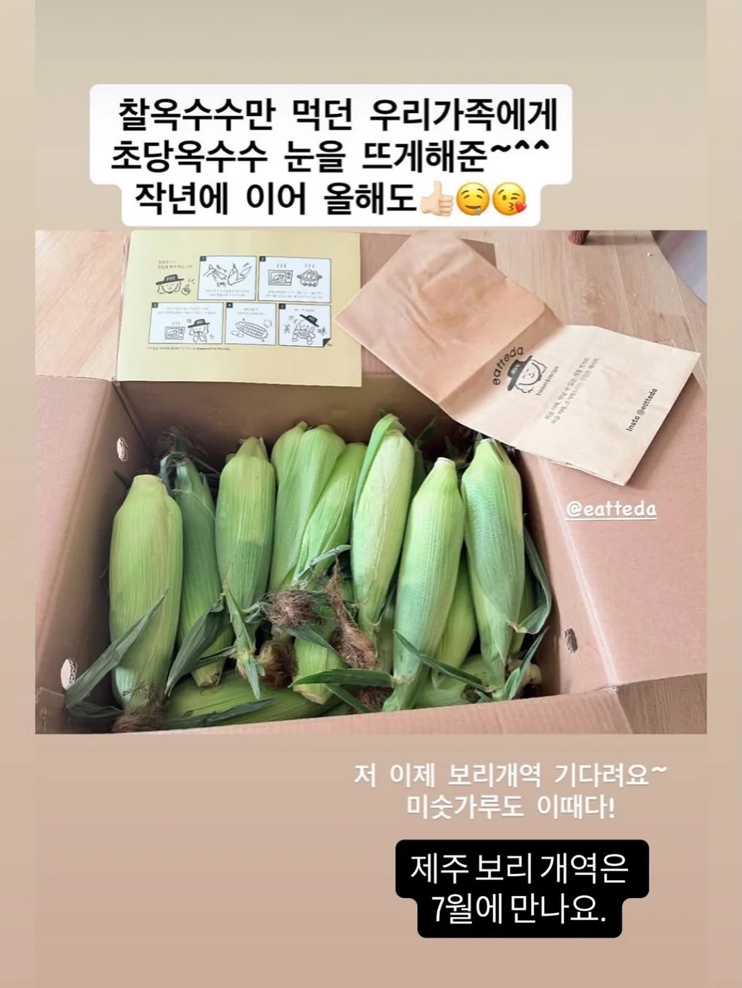 프랑스 쉐브르 티 풀세트 13
