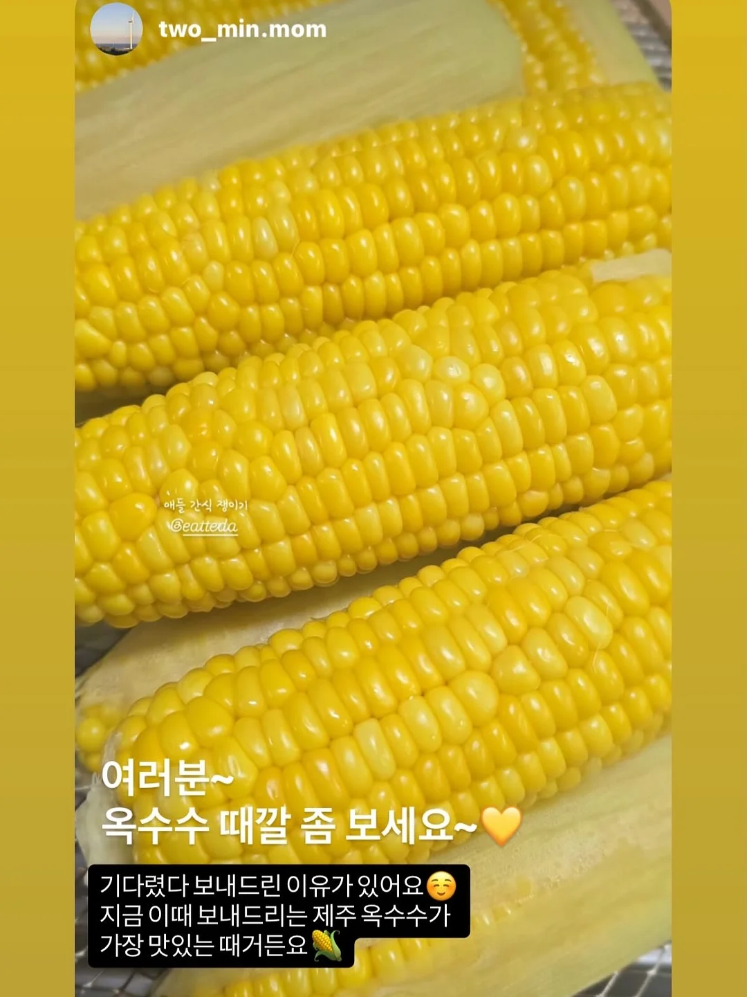 프랑스 쉐브르 티 풀세트 14