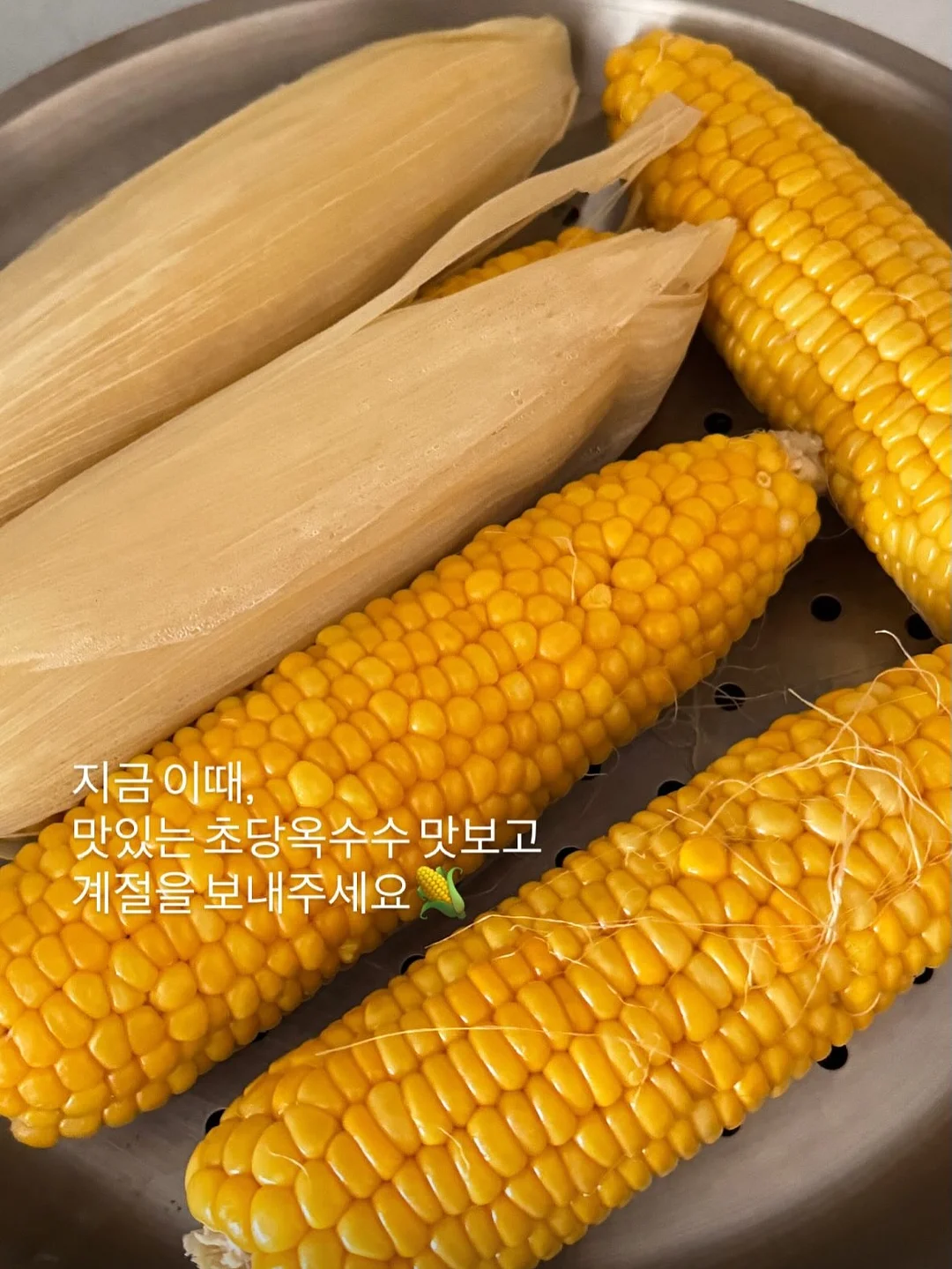 프랑스 쉐브르 티 풀세트 9
