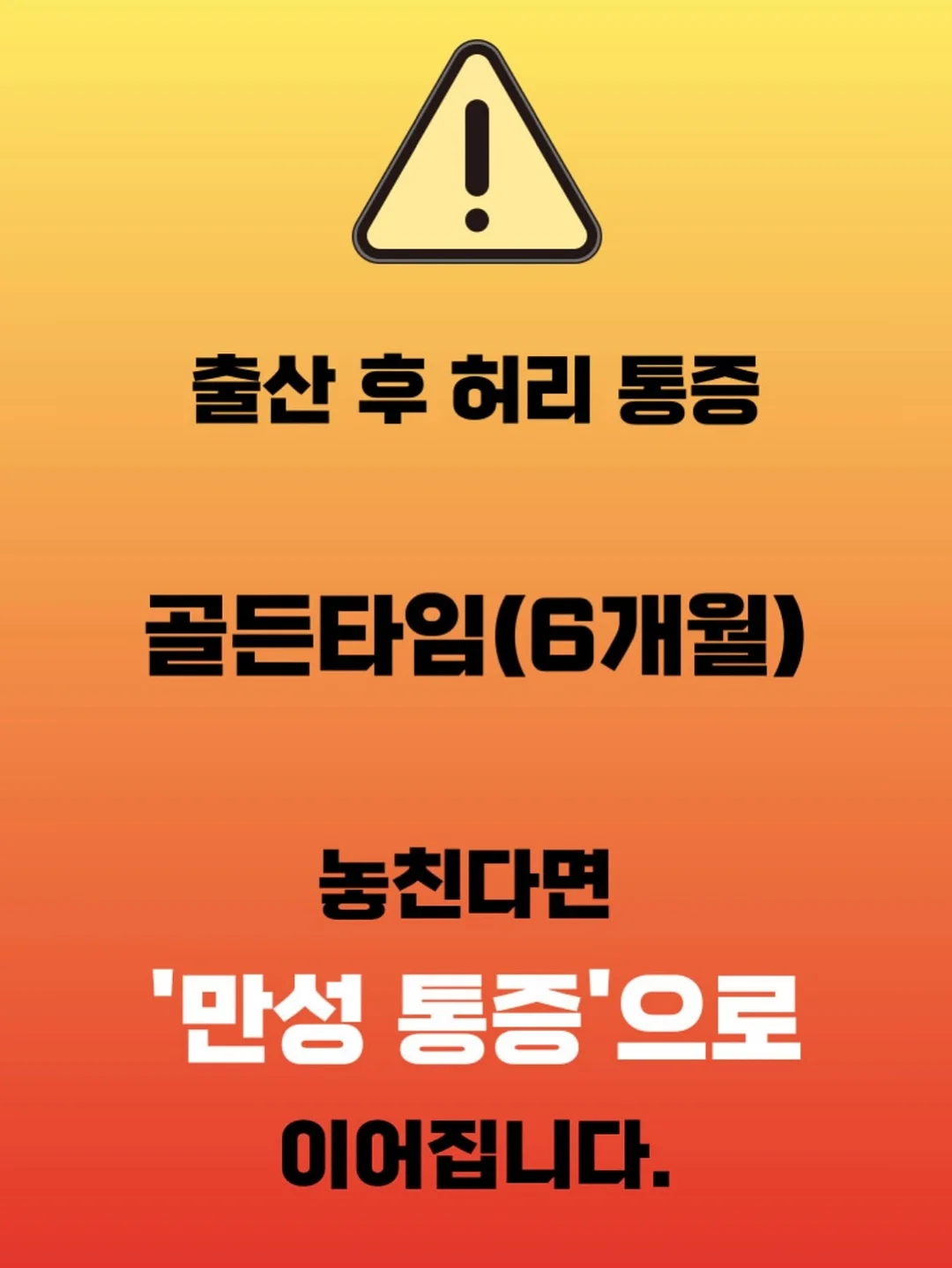 드라코 축하화분 3