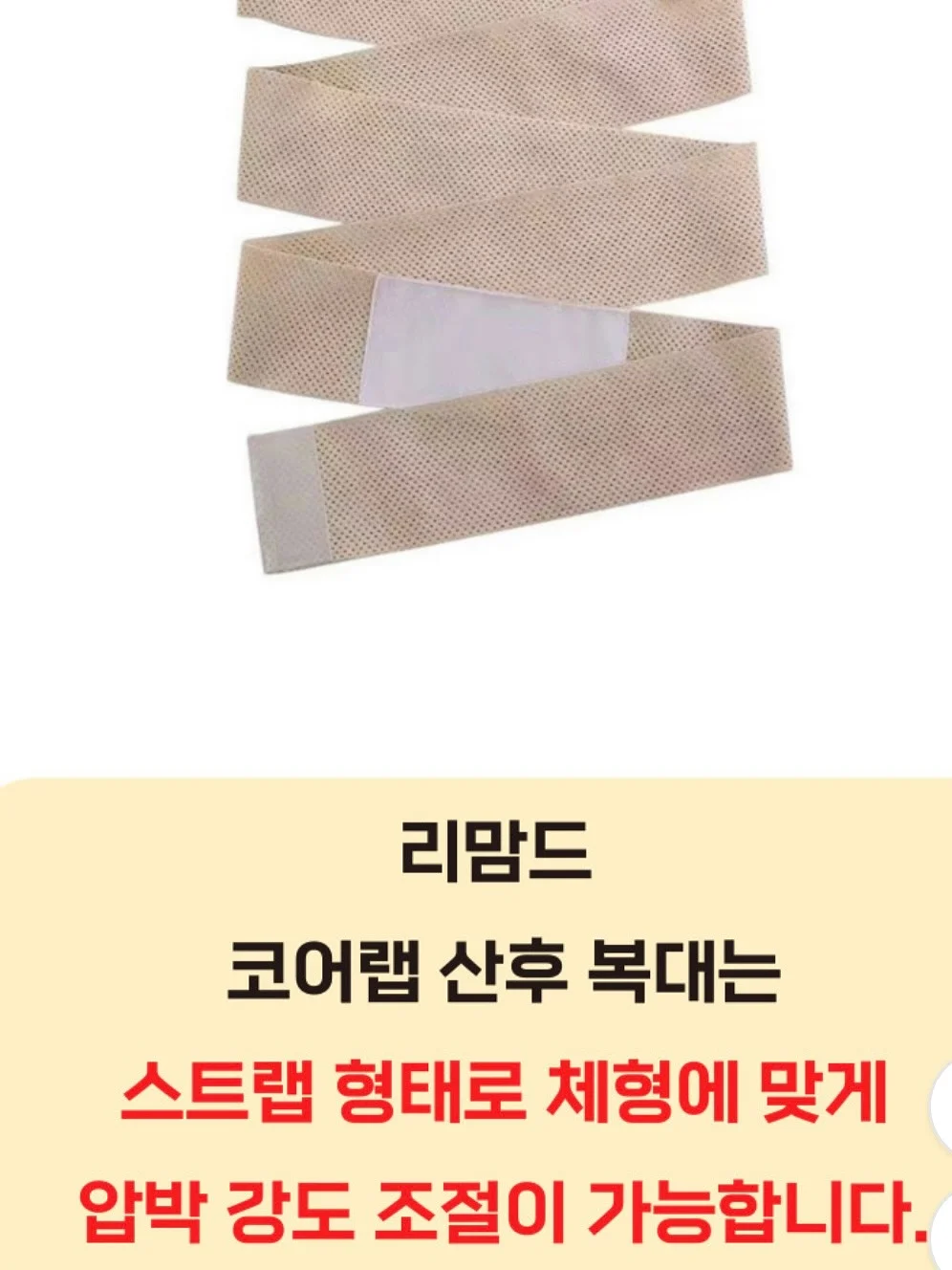 드라코 축하화분 6
