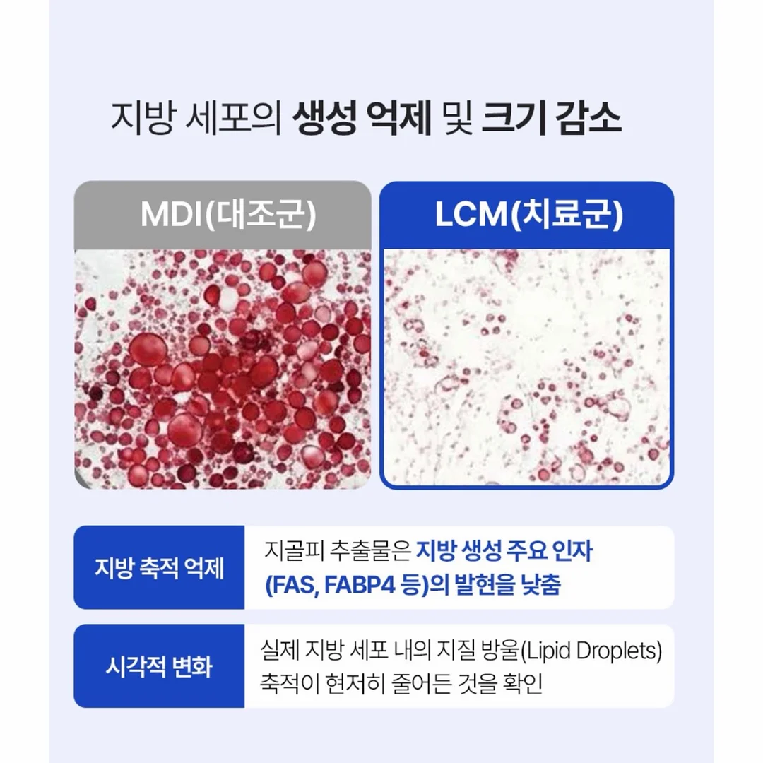 플리브미 비건 키즈 헤어 미스트 My 미스트 꾸미기 세트 11