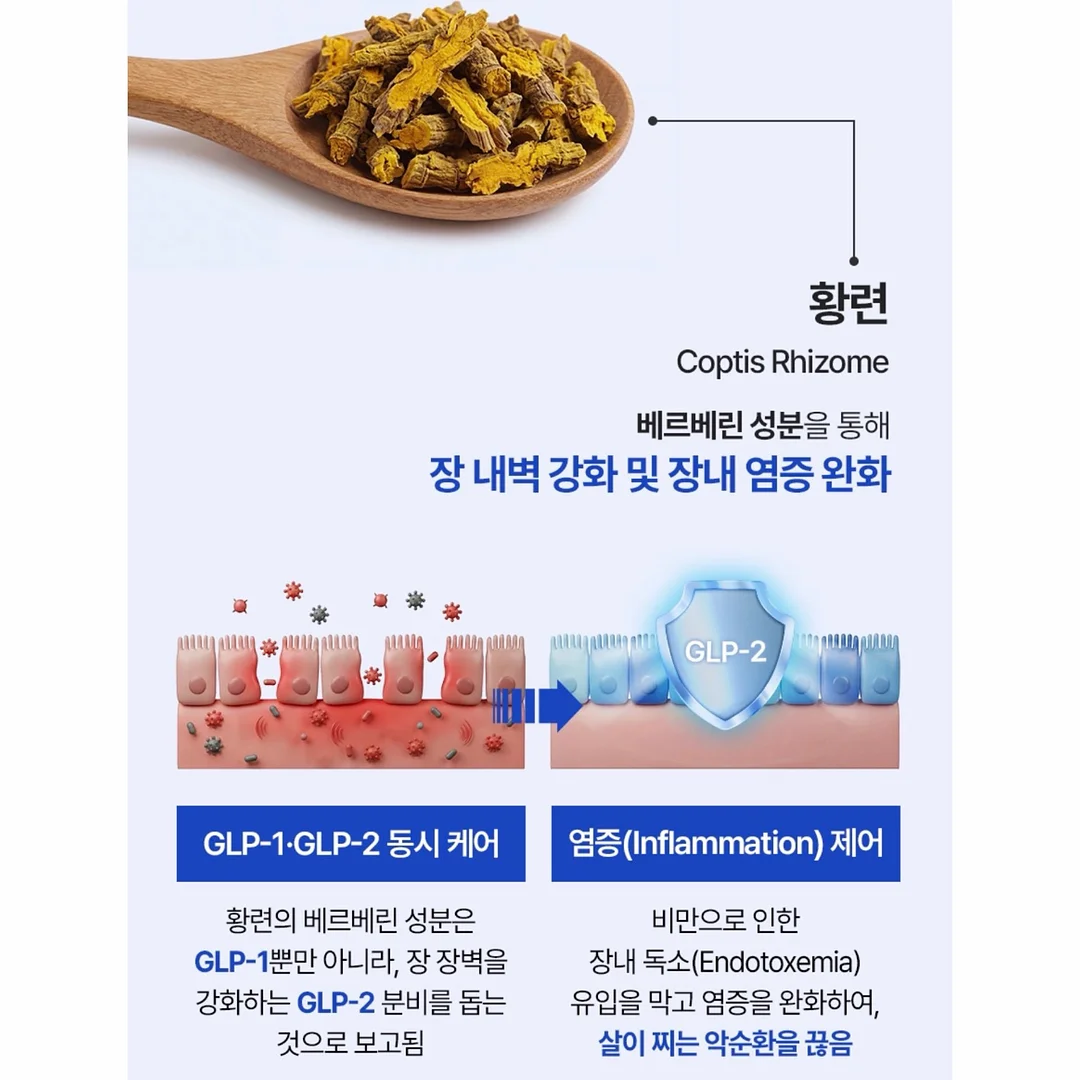 플리브미 비건 키즈 헤어 미스트 My 미스트 꾸미기 세트 12