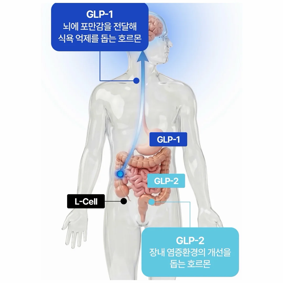 플리브미 비건 키즈 헤어 미스트 My 미스트 꾸미기 세트 5