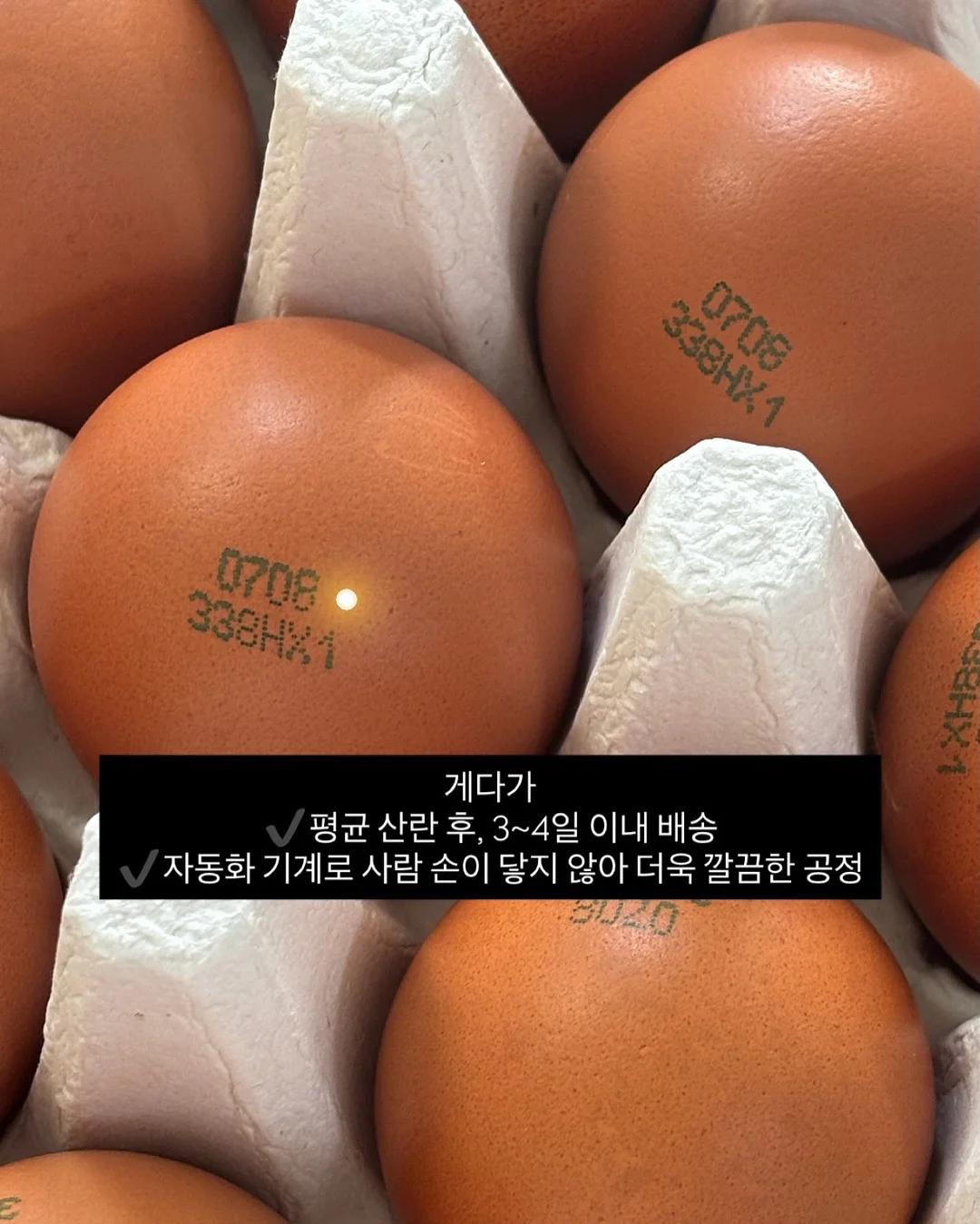 뮤즈무드 SUMMER FLASH SALE 12