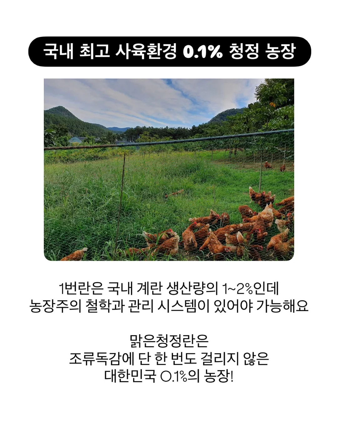 뮤즈무드 SUMMER FLASH SALE 14