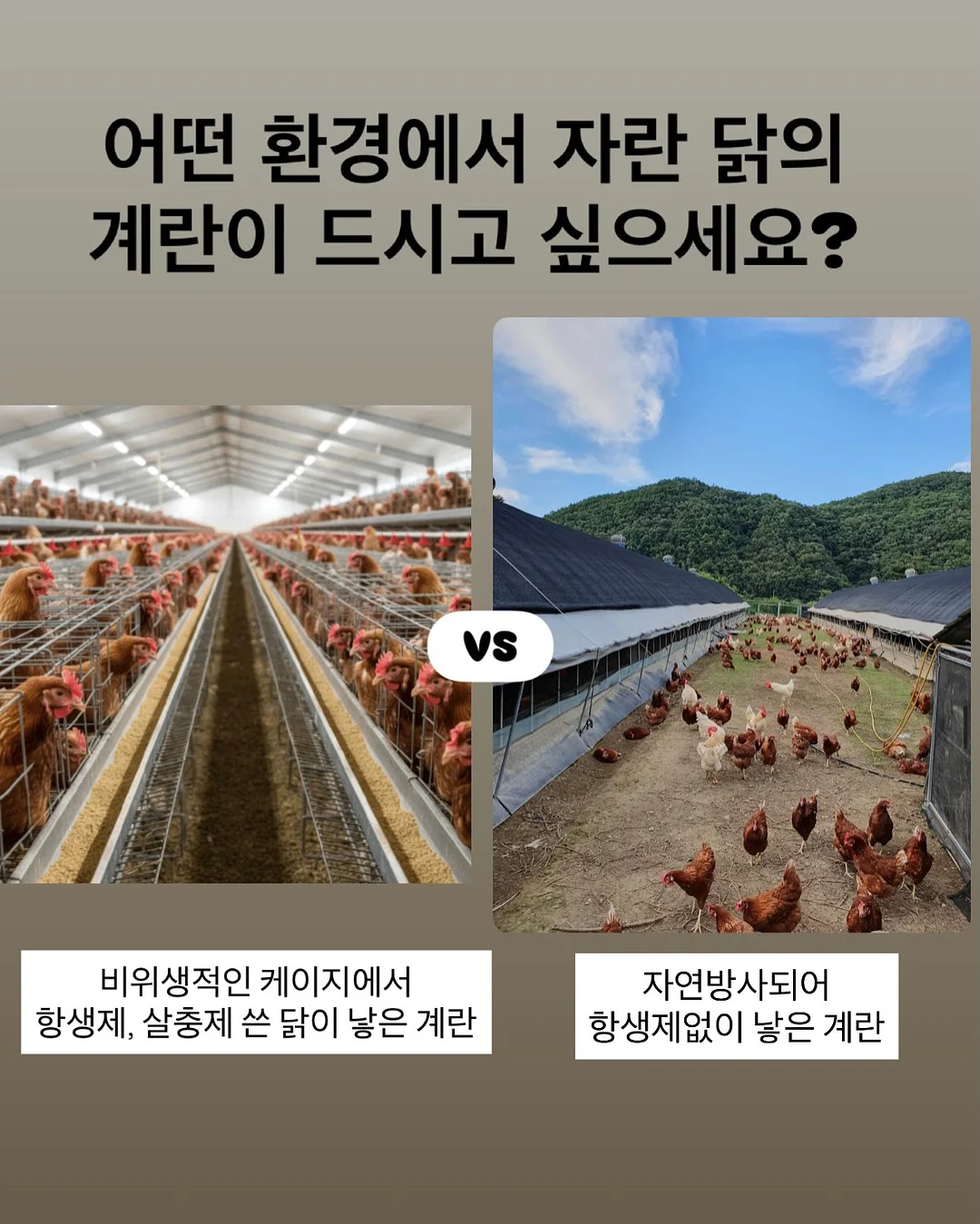 뮤즈무드 SUMMER FLASH SALE 2