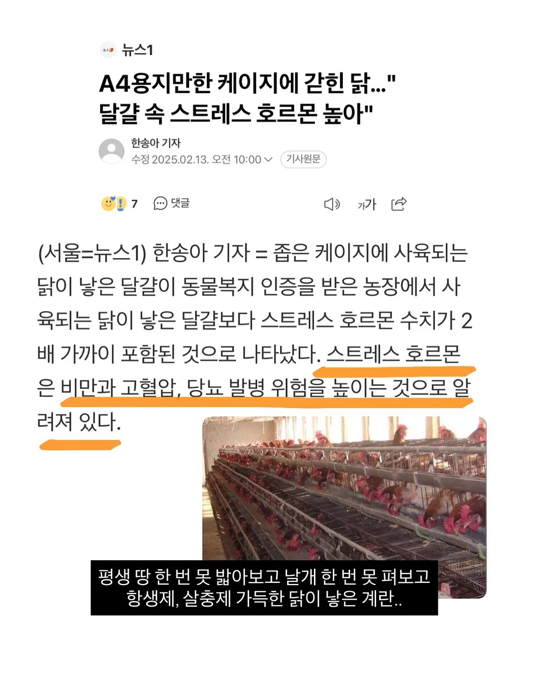 뮤즈무드 SUMMER FLASH SALE 3