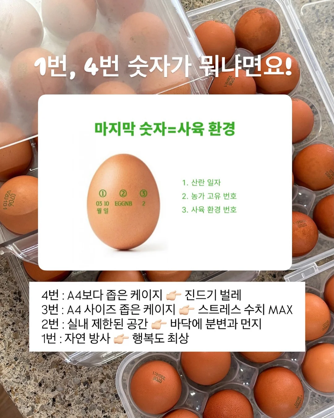 뮤즈무드 SUMMER FLASH SALE 5