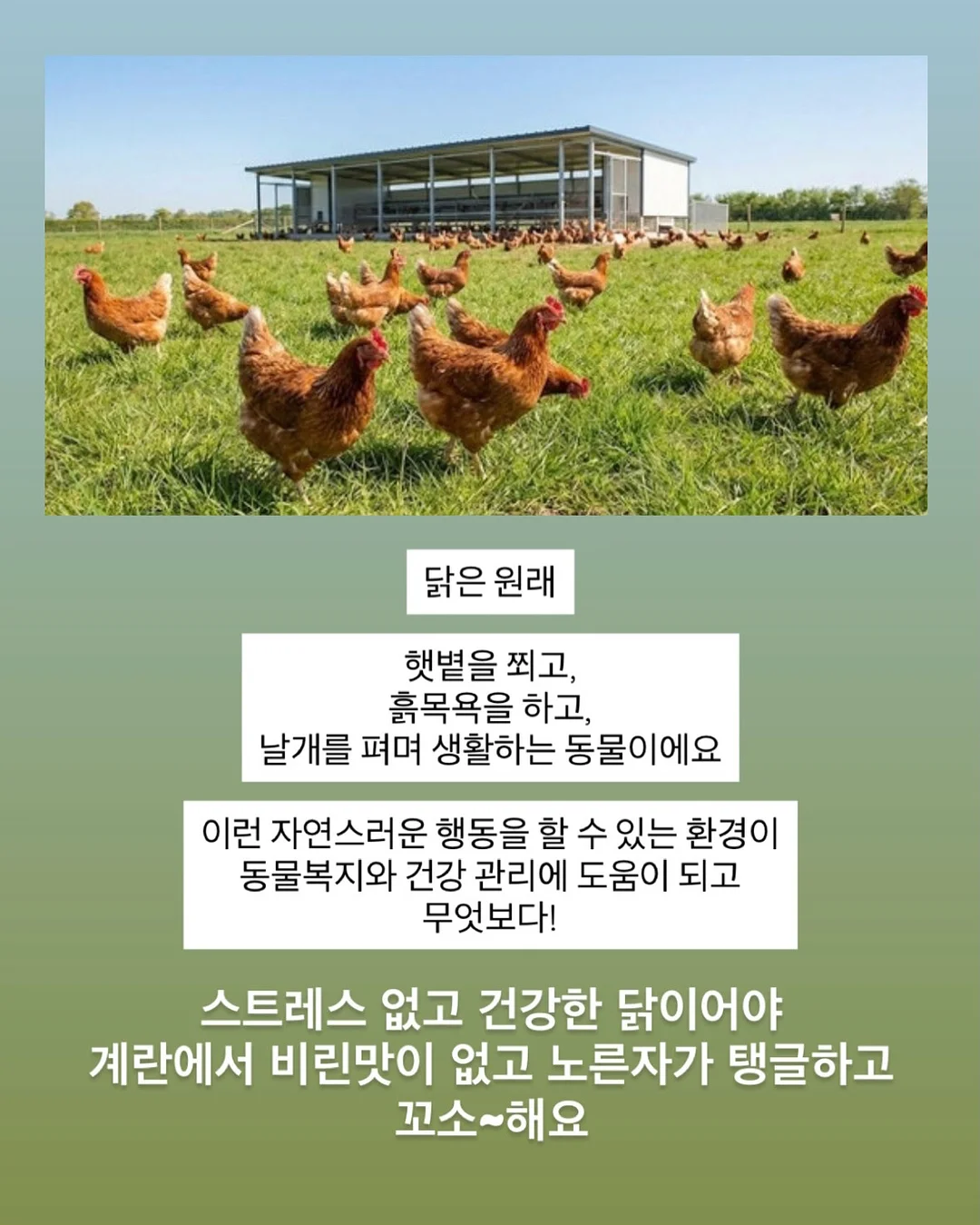 뮤즈무드 SUMMER FLASH SALE 6