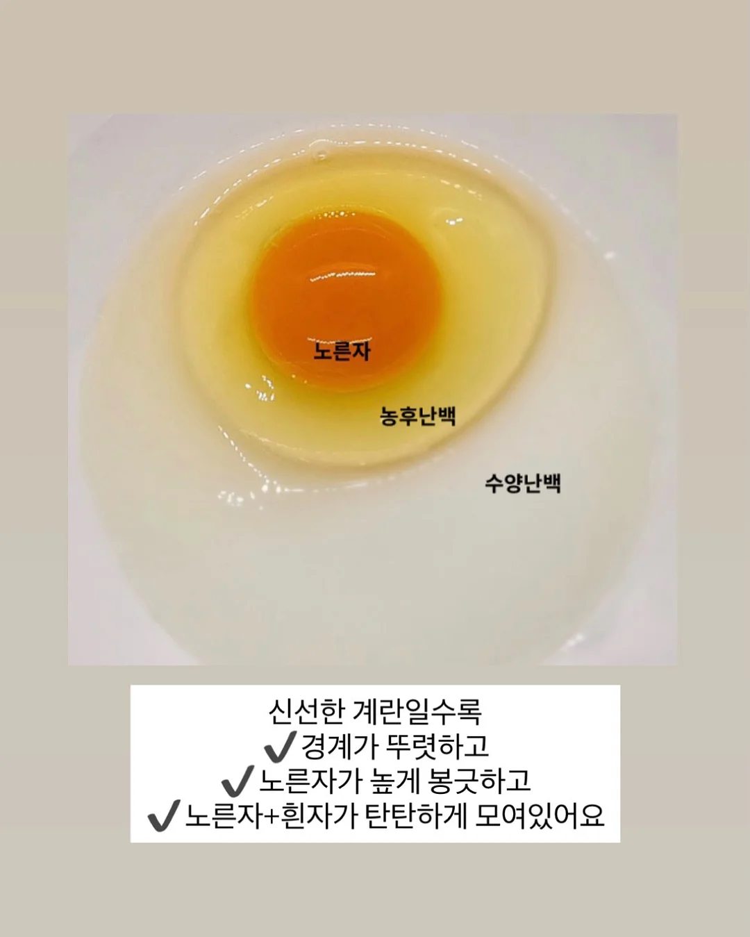 뮤즈무드 SUMMER FLASH SALE 7