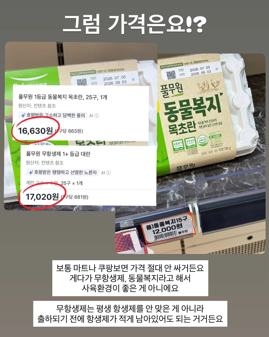 뮤즈무드 SUMMER FLASH SALE 8