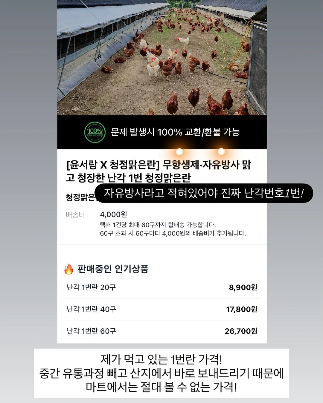 뮤즈무드 SUMMER FLASH SALE 9