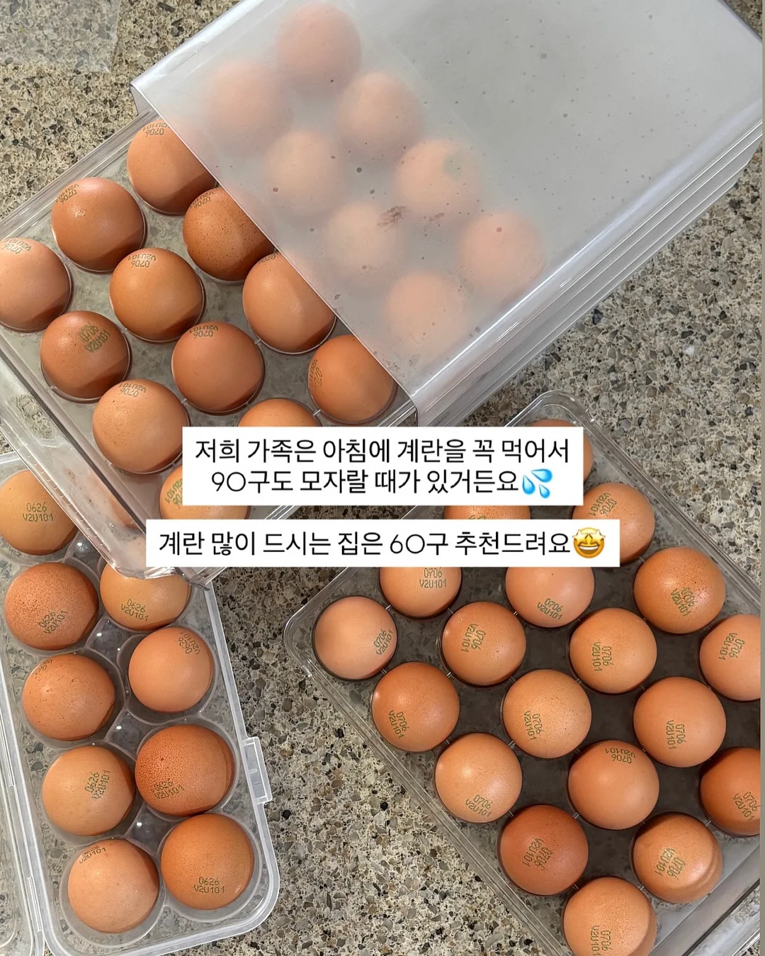 뮤즈무드 SUMMER FLASH SALE 10