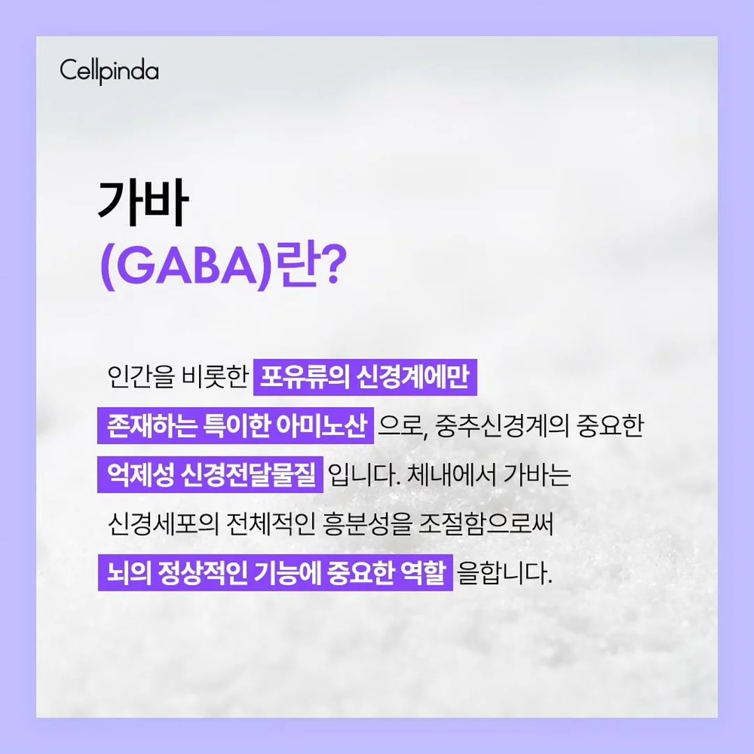 ALO 쇼퍼백 16
