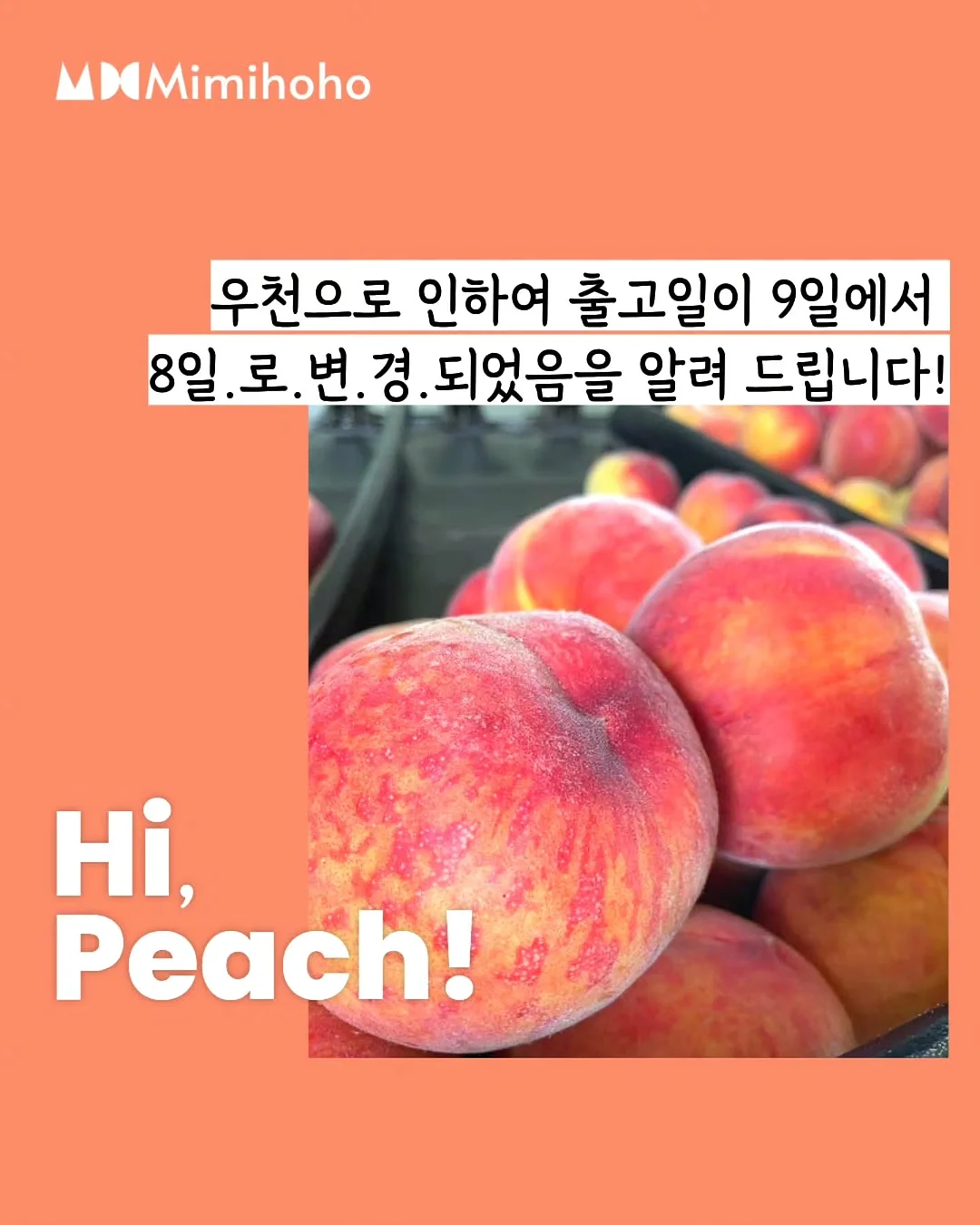축구 상하세트