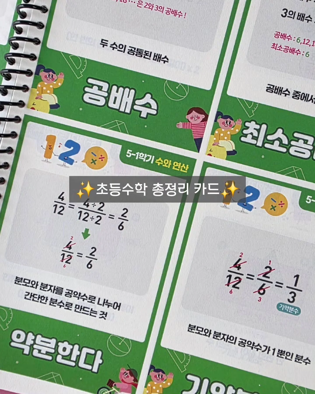 버킨40 6