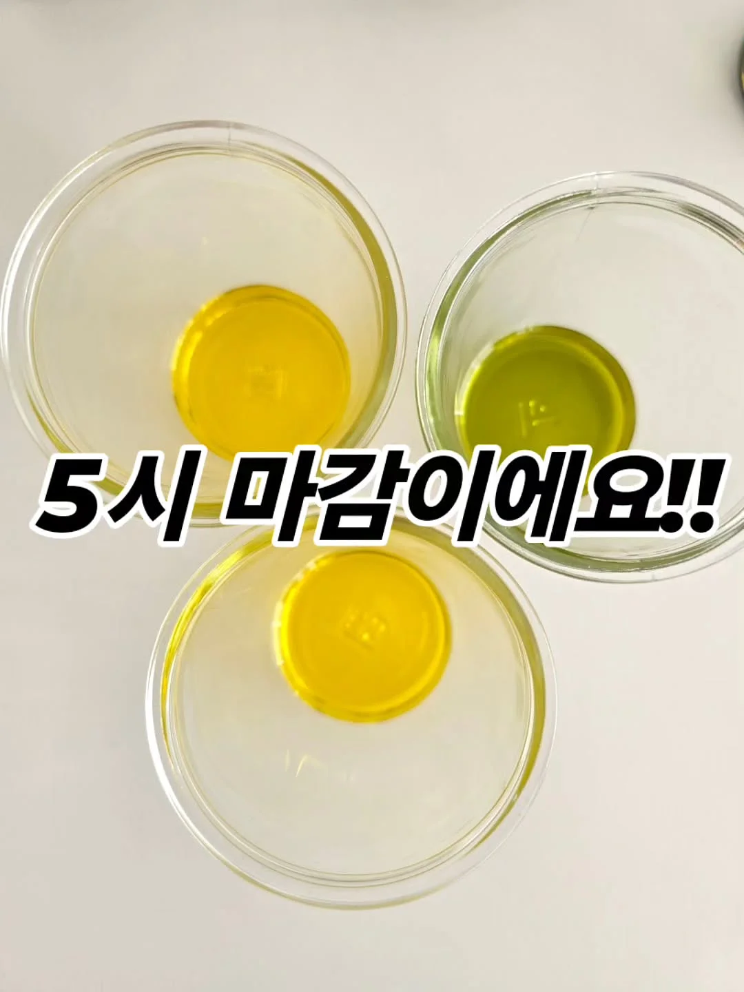쥬르 뱀부 손수건 7장 세트 2