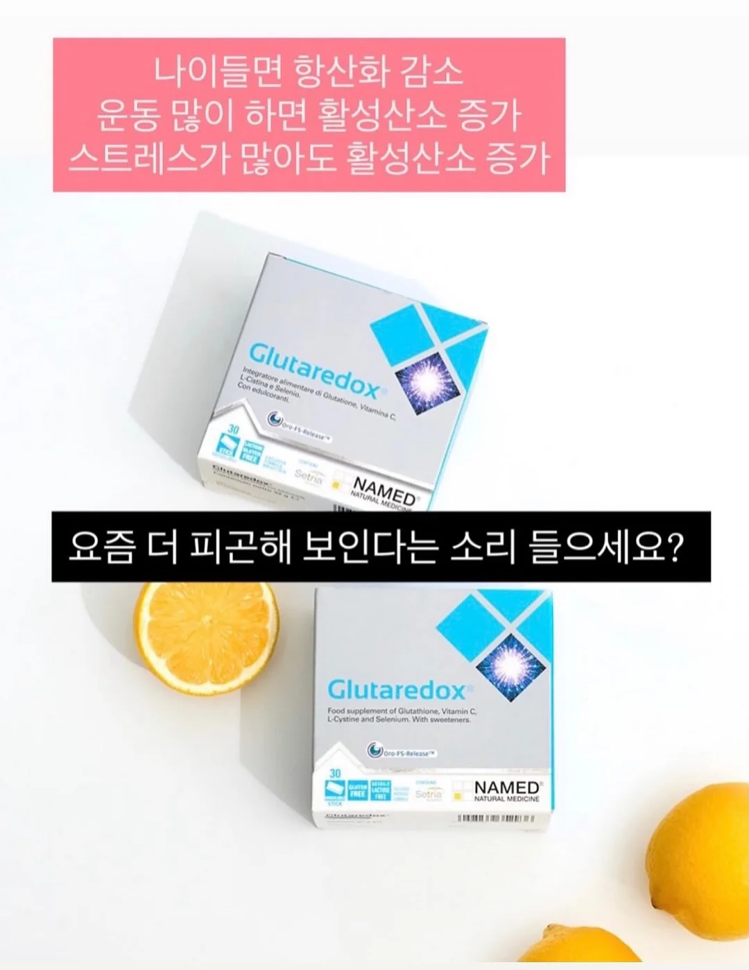 Notion 캠퍼스 리더 프로그램 4
