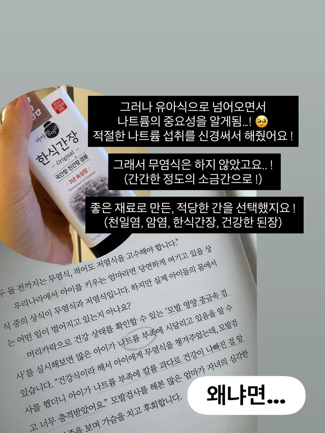 블루벤트 음식물처리기 3