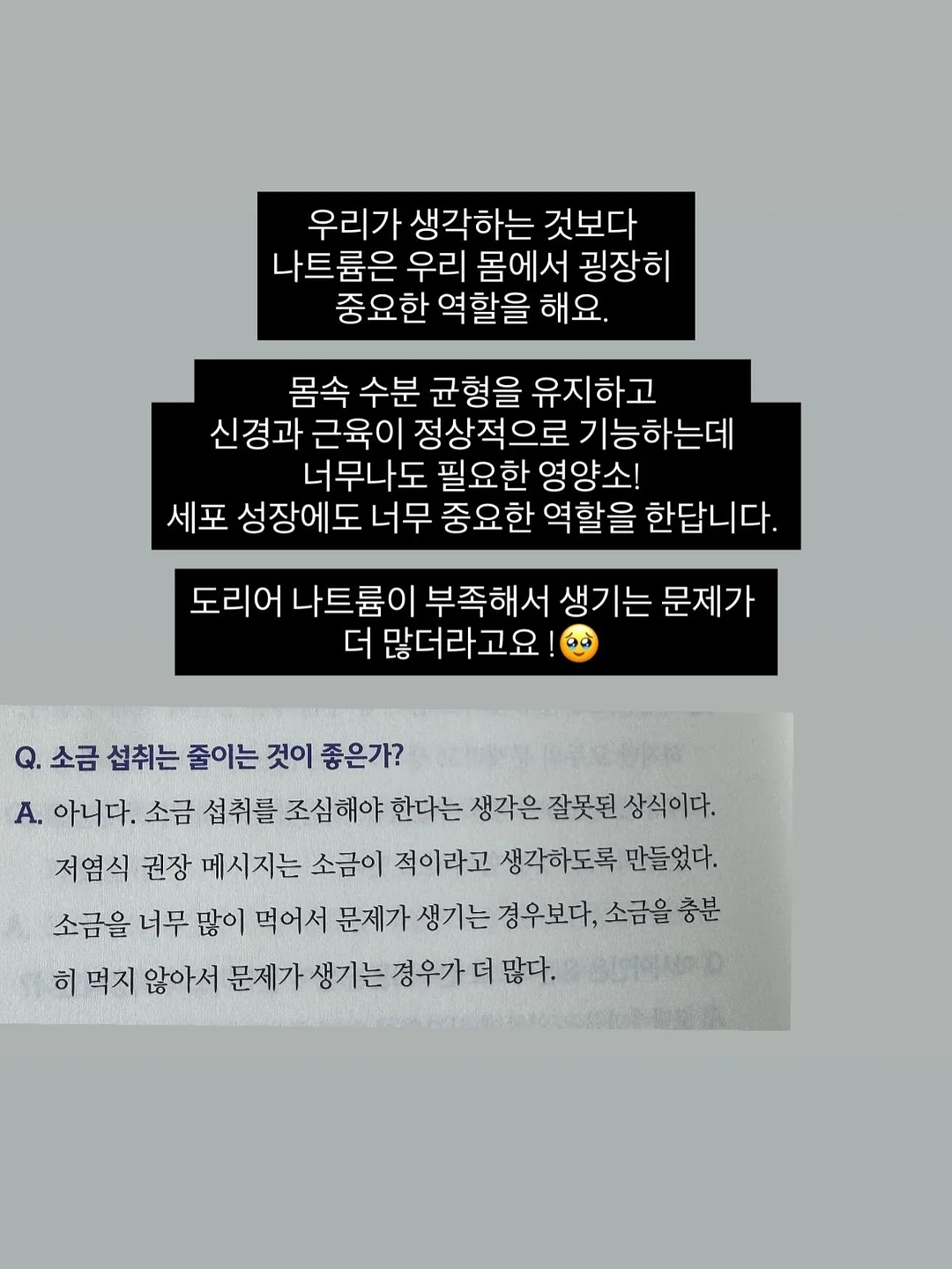 블루벤트 음식물처리기 4