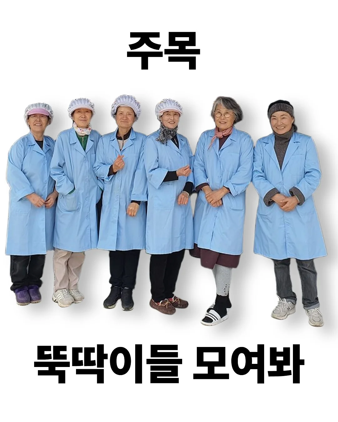 복고리본블라우스 1