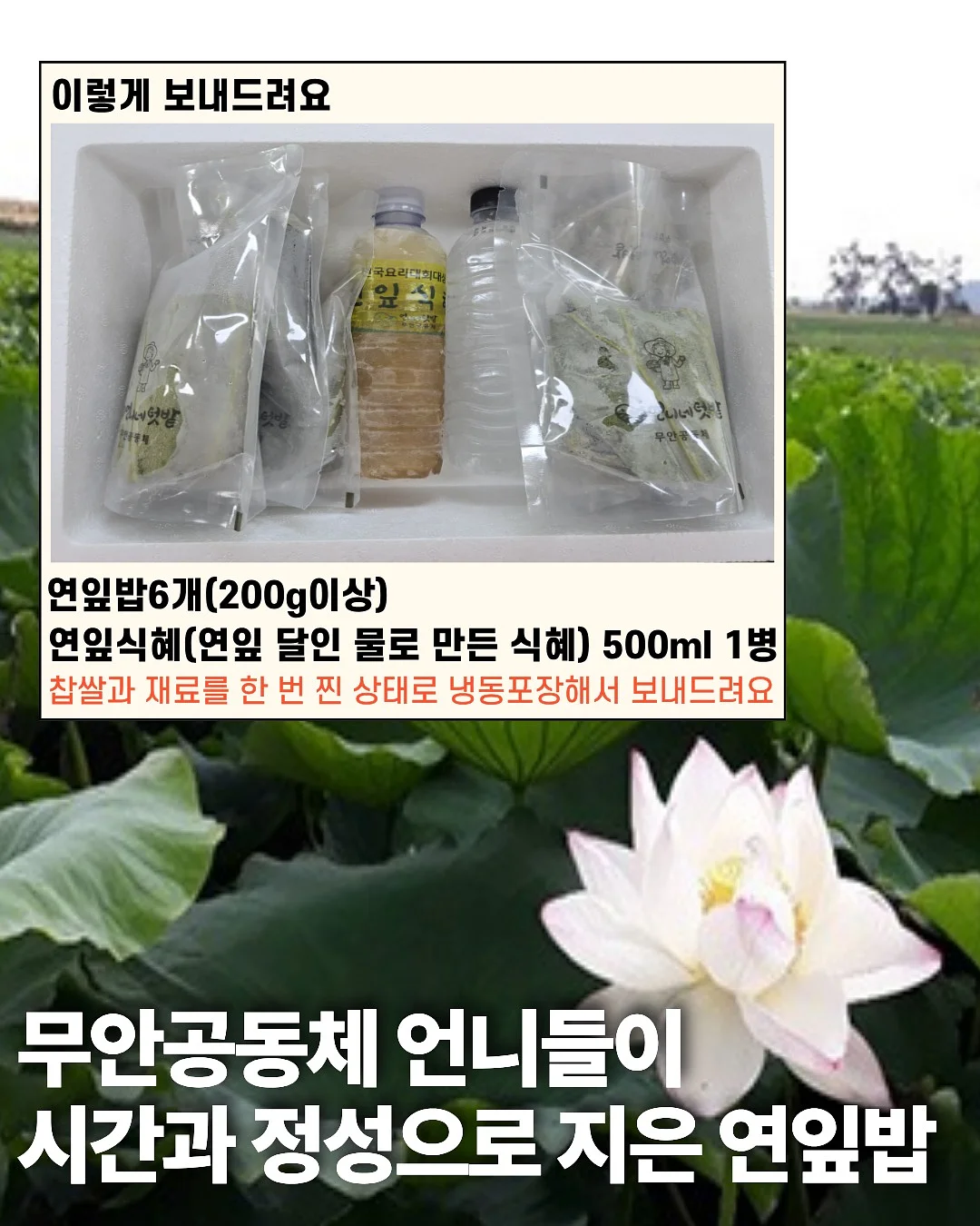 복고리본블라우스 4