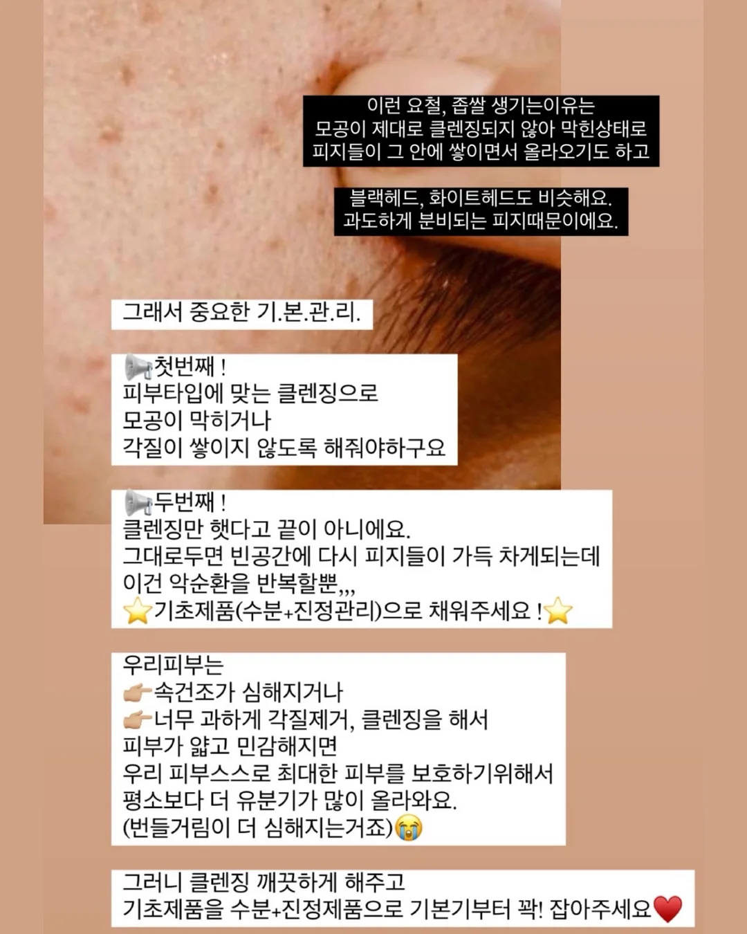 반려견 배변패드 1