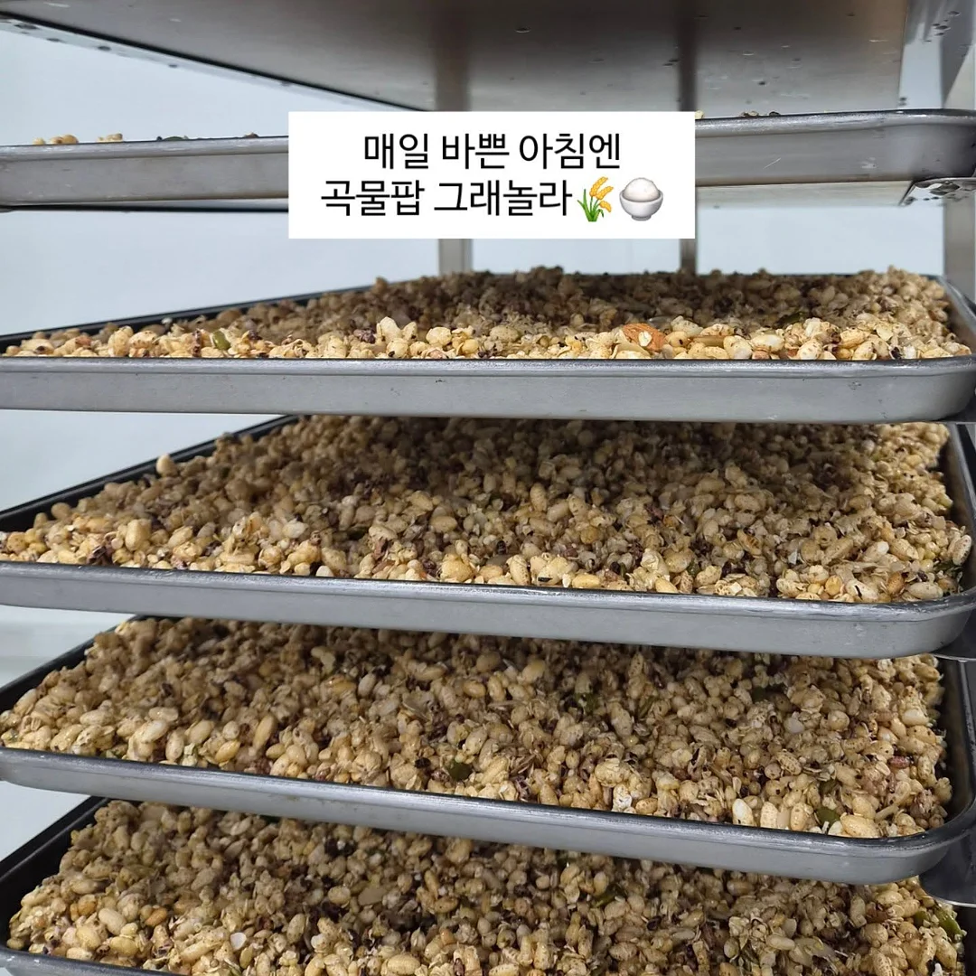 스포츠지도사 실기 시험 일정
