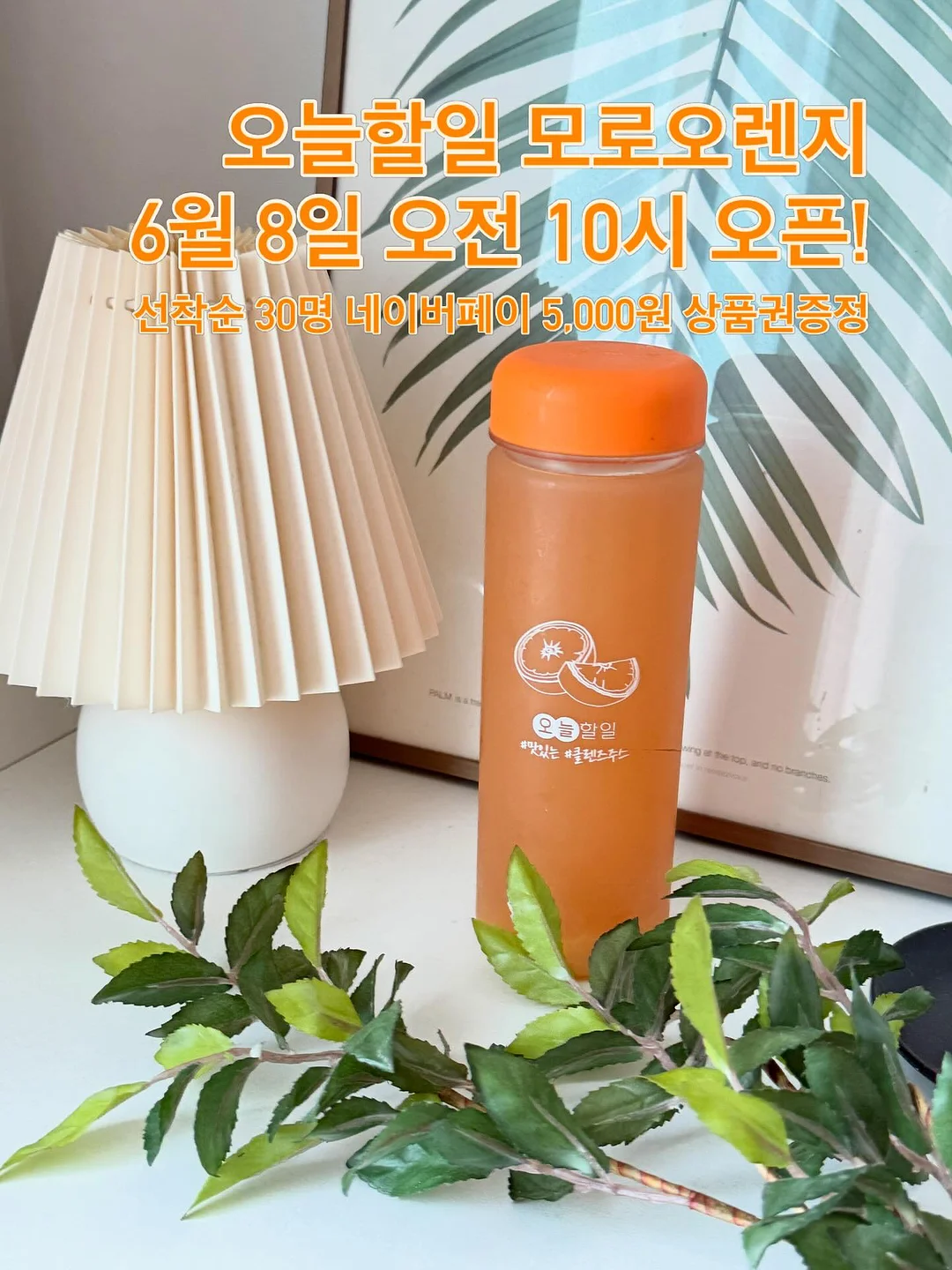 미스찌 여름 속옷 1