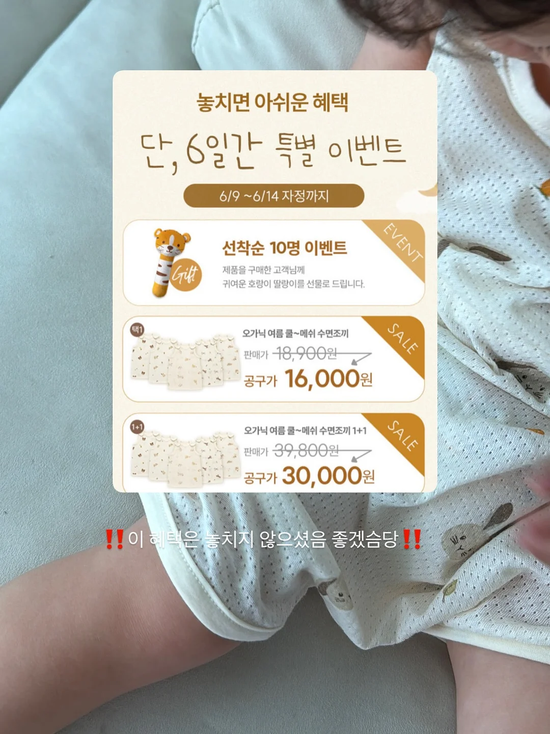 오르시떼 강아지수세미 2