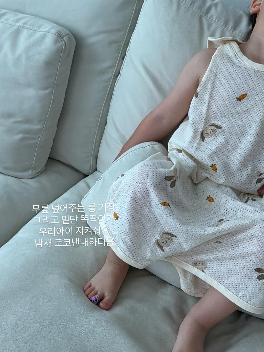 오르시떼 강아지수세미 9