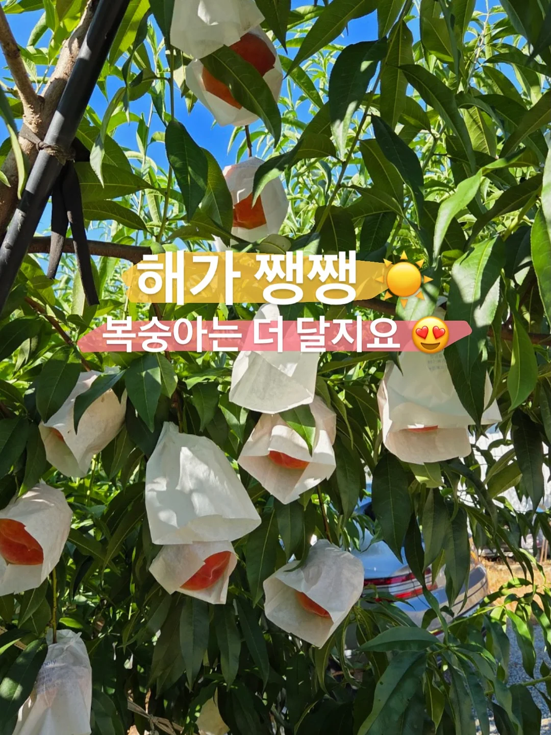 또띵 미니베베 물티슈 40팩 2