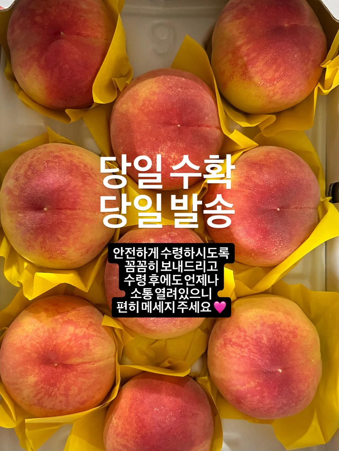 또띵 미니베베 물티슈 40팩 5