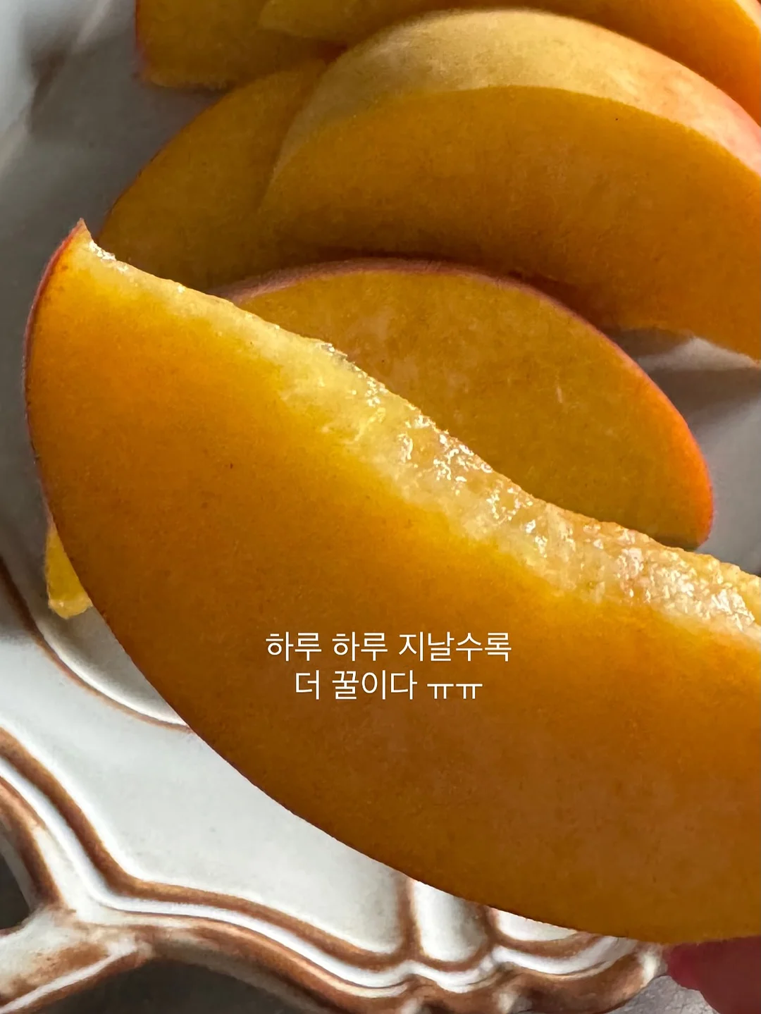 또띵 미니베베 물티슈 40팩 8