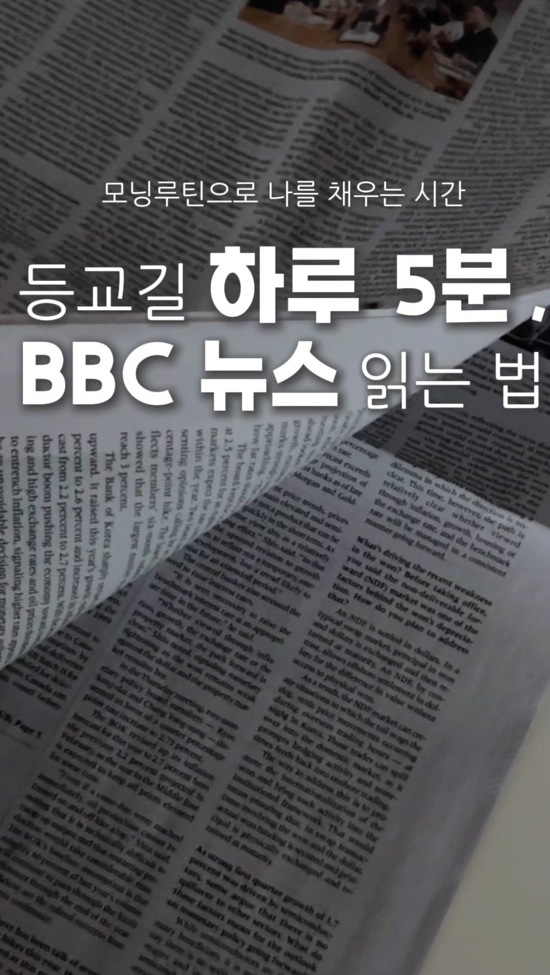 램울프 타르트