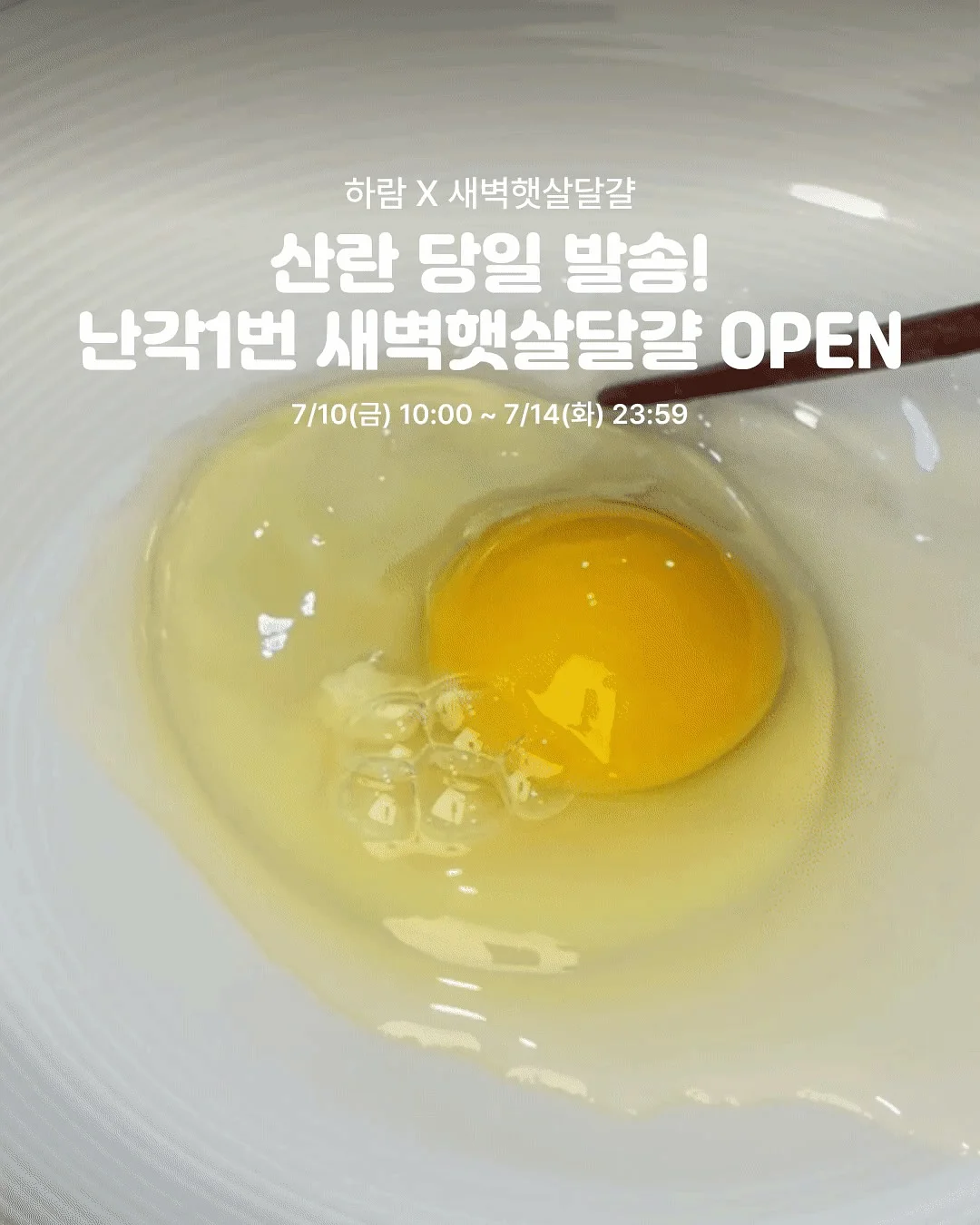 스인방 1