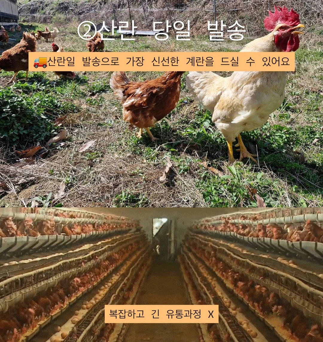 스인방 4