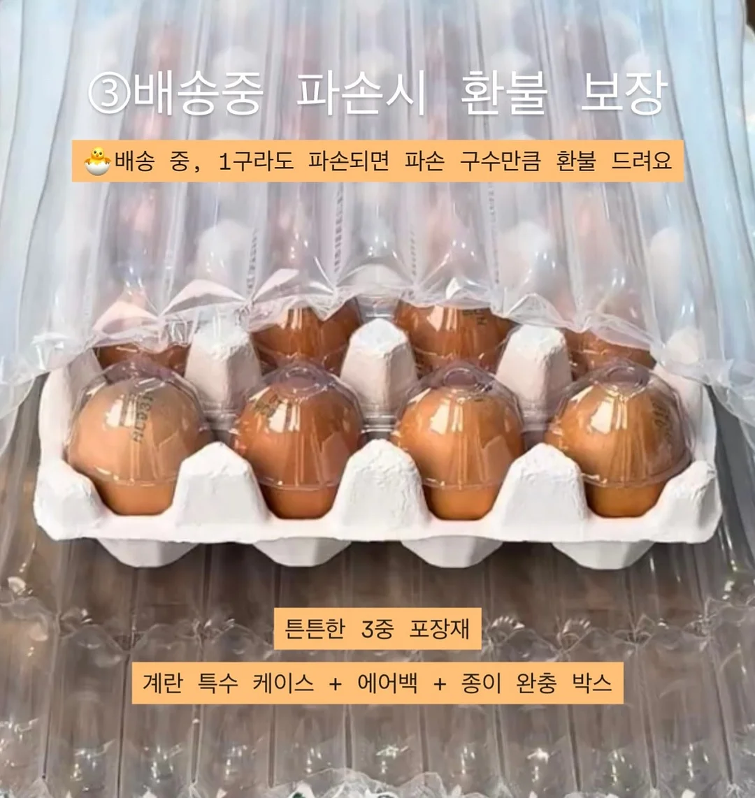 스인방 5