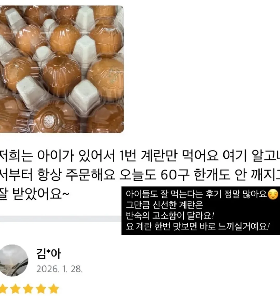 스인방 8
