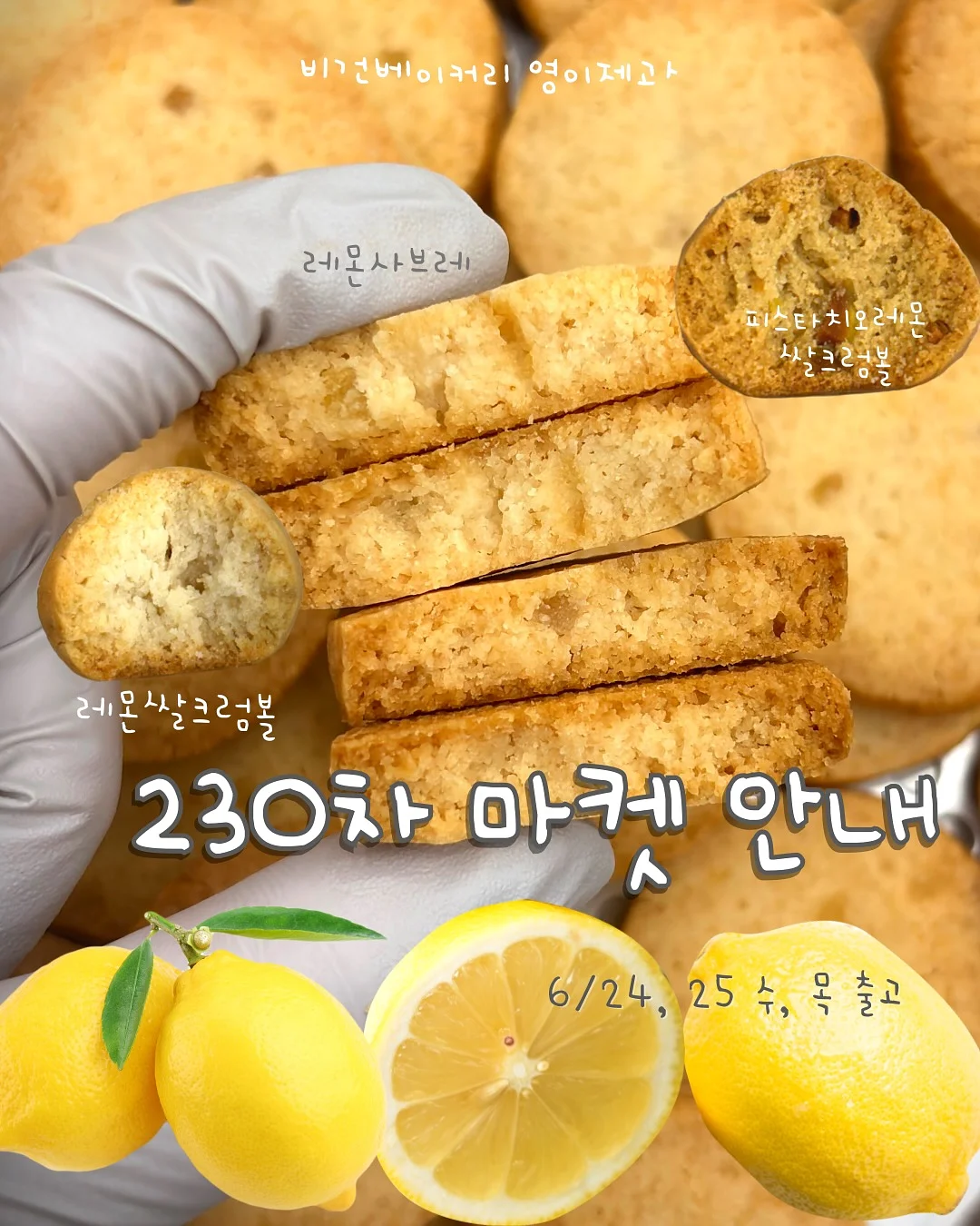 개미 생태 관찰 키트 1
